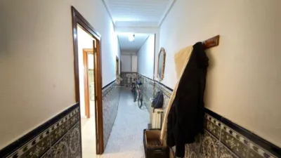 Miniatura 9