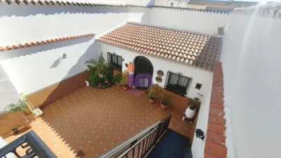 Miniatura 12