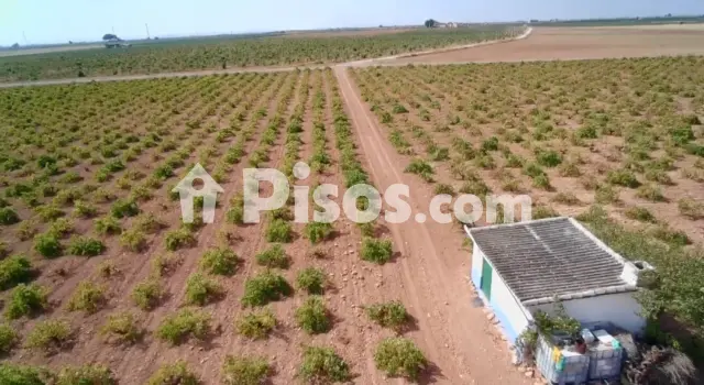 Finca rústica en venta en Manzanares