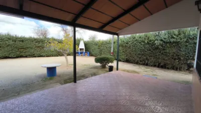 Miniatura 7