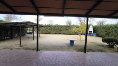 Miniatura 8