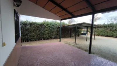 Miniatura 9