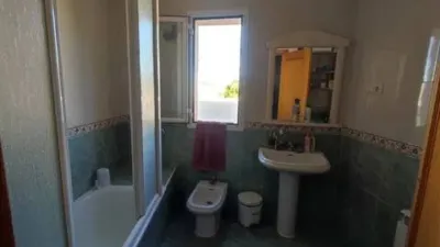Miniatura 12