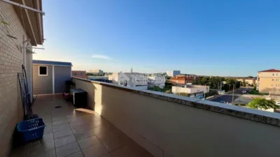 Miniatura 7