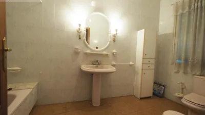 Miniatura 9