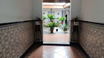 Miniatura 11