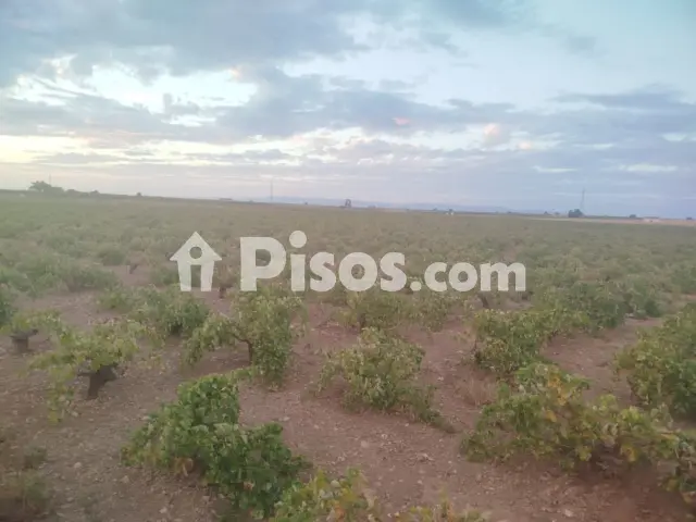 Finca rústica en venta en Manzanares