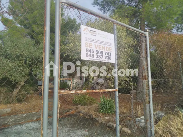 Finca rústica en venta en Carretera Carretera El Moral