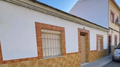 Miniatura 11