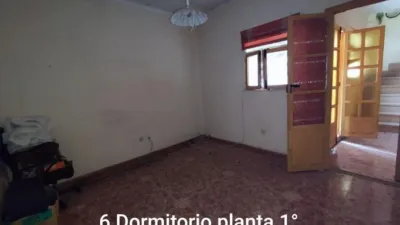 Miniatura 10