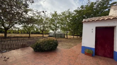 Miniatura 8