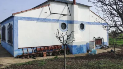 Miniatura 9