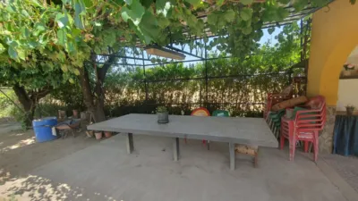 Miniatura 10