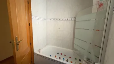 Miniatura 10