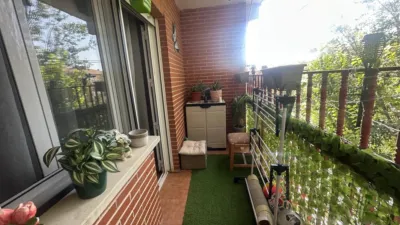 Miniatura 9