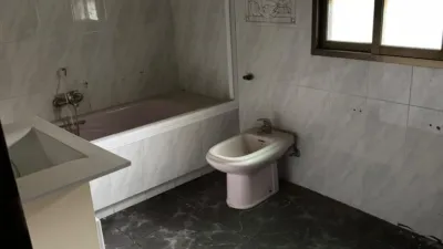 Miniatura 12