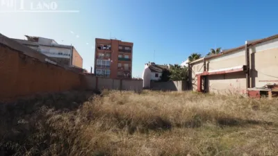 Miniatura 7