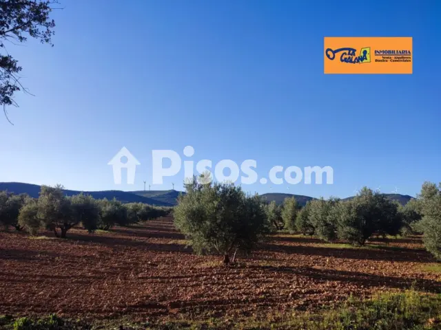 Finca rústica en venta en Carretara del Cristo