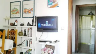 Miniatura 8
