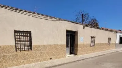 Miniatura 12