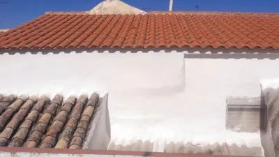Miniatura 10
