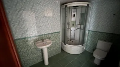 Miniatura 10