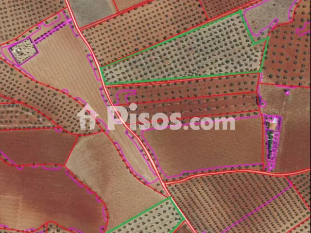 Finca rústica en venta en Carretera Torre Nueva