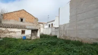 Miniatura 9