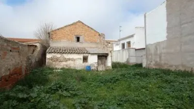 Miniatura 7