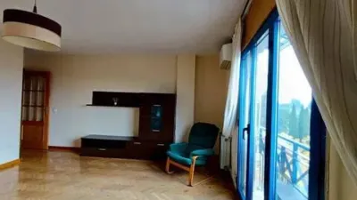Miniatura 10